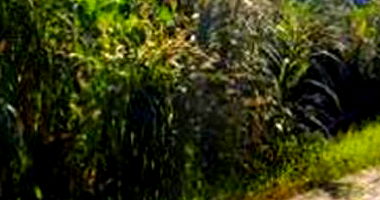 Terreno Urbano com 830,48m² em Dois Vizinhos-PR