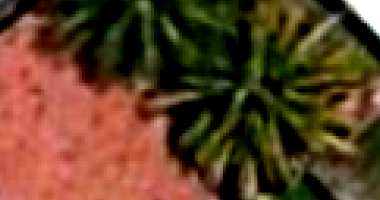 Casa em São Gonçalo com 3 Quartos e 2 Banheiros