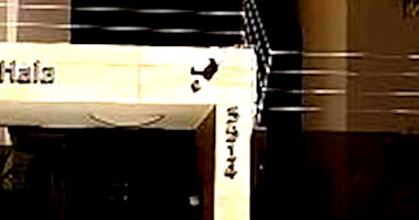 Apartamento Ocupado com 3 Quartos no Setor Bueno - Goiânia/GO