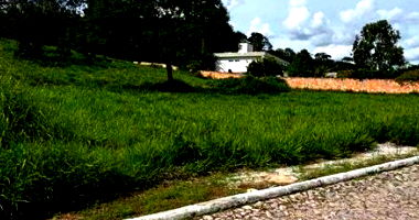 Terreno plano com aclive nos fundos, 1964m², sem construção