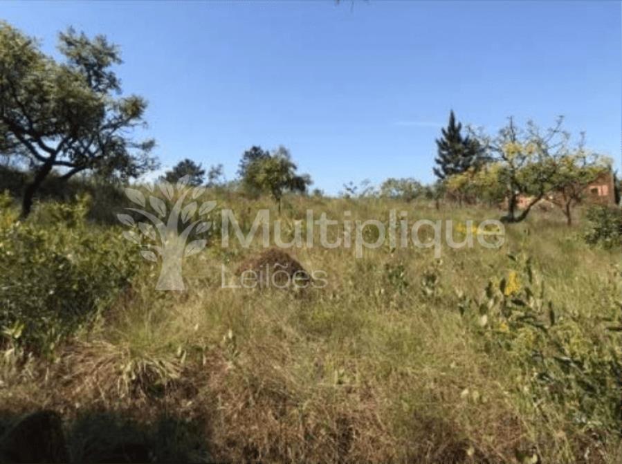 Terreno de 5.000m² em Pardinho