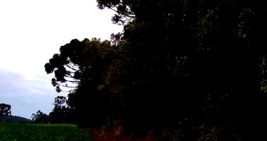 Terreno Rural com 24.200m² em Rio Azul-PR