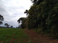 Terreno Rural com 24.200m² em Rio Azul-PR