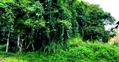 Terreno Urbano em Joinville com 2.321,45 m² - Oportunidade!