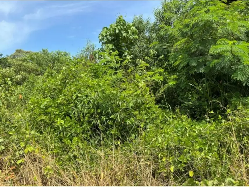 Lote de Terreno em Leilão - Parque Corrupira - Jundiaí/SP