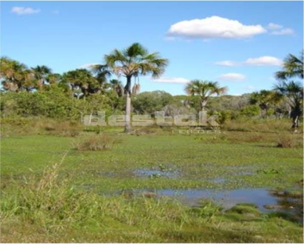 Terreno Rural em Mateiros/TO com 930.90 ha