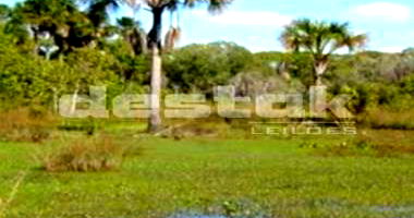 Terreno Rural em Mateiros/TO com 930.90 ha