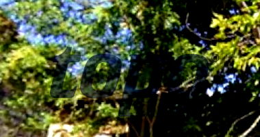 Casa com 306.55m² de Terreno e 129.22m² Construída em Mauá/SP