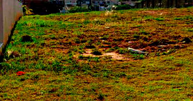 Terreno no Condomínio Swiss Park em Campinas