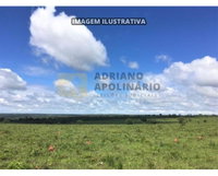 Fazenda com 225,14 ha em Santa Fé de Minas