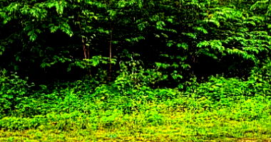 Terreno com 2.8571m² em Jaboatão dos Guararapes/PE