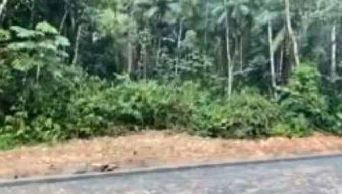 Ampla Área de Terreno com 5.533 m² em Localização Privilegiada