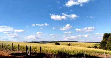 Terreno Rural com 7,96ha em Guarapuava/PR