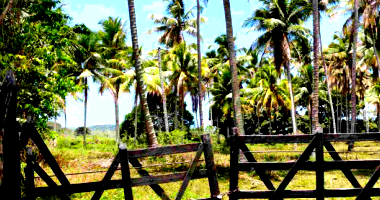 Imóvel rural com 189,20ha e benfeitorias, ocupado