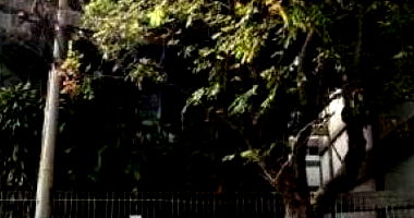 Ex-Agência com 2.087m² em Casa Verde, São Paulo