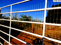 Terreno com 446,15m² em Palminópolis/GO