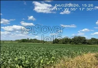 Área rural de 3 hectares em Pirapó/RS, desocupada