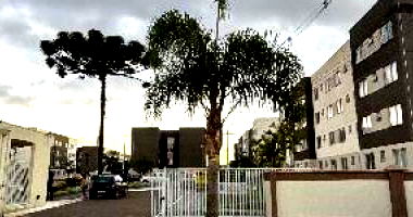 Apartamento com 2 quartos em Campo Largo/PR