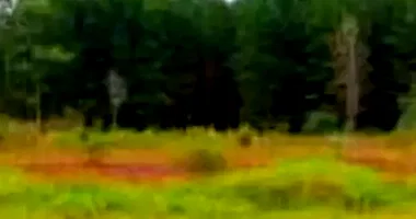 Terreno 390,99m² - Ocupado