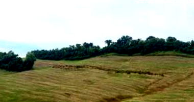 Imóvel Rural com 54.250m² em Santa Izabel do Oeste-PR