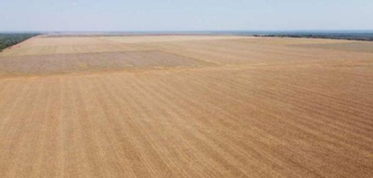 Fazenda rural 2200 hectares com 1073 ha abertos, ideal para agronegócio