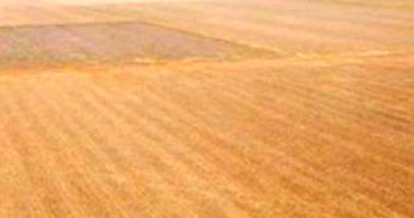 Fazenda rural 2200 hectares com 1073 ha abertos, ideal para agronegócio