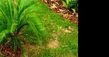 Apartamento com 2 quartos em Rio de Janeiro