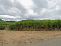 Imóvel Rural com 137ha para Cana de Açúcar em Vicência/PE