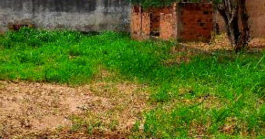 Lote desocupado com 420 m² de terreno, ideal para construção