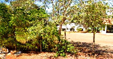 Casa Ocupada com 775m² em Entre Rios do Oeste/PR