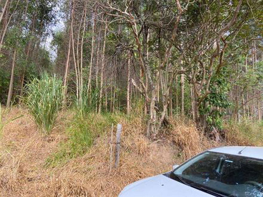 Área Rural em Atibaia - Sítio Santa Luzia com 147.306,70m²