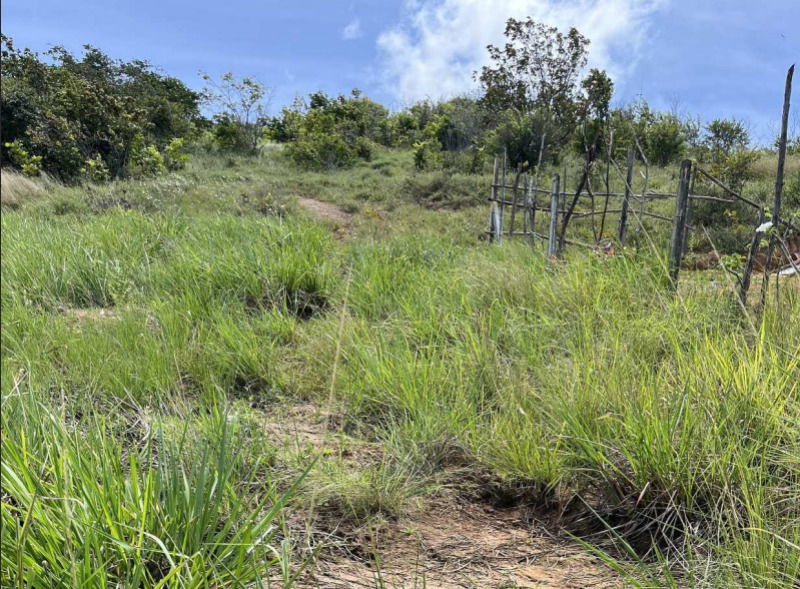 Terrenos com Medidas 12m x 30m, Ideais para Desenvolvimento