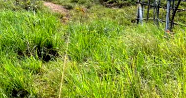 Terrenos com Medidas 12m x 30m, Ideais para Desenvolvimento
