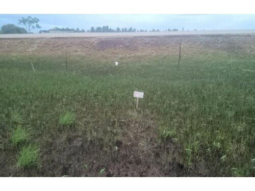 Terrenos em Itaporanga D'Ajuda/SE - 744m²