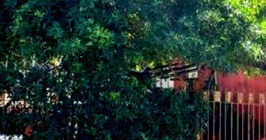 Casa com 3 quartos em Campinas/SP