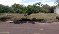 Terreno Urbano com Área Total de 315,39 m² em Terra Roxa - PR