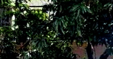 Imóvel c/ 375m² em Paranacity/PR