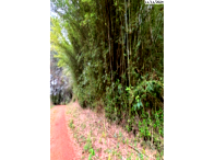 50% de Terreno com 858m² em Teresópolis/RJ