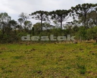 Terreno com 7.000m² e construções em Esmeralda/RS