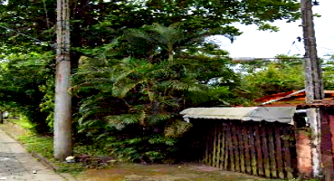 Terreno com 300m² e benfeitorias em Ilhabela-SP