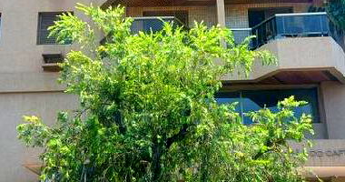 Apartamento 92m², 3 quartos, 1 vaga