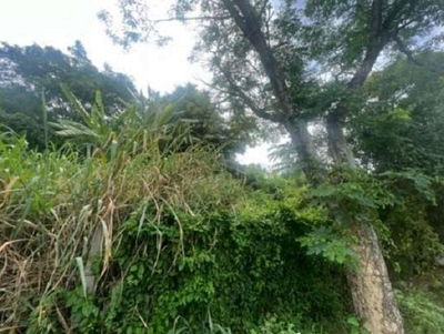 Terreno em Ilha do Boi com 613m², desocupado e pronto para construir