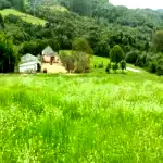 Área Rural com 24,46 Ha em Canguçu - RS