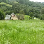 Área Rural com 24,46 Ha em Canguçu - RS