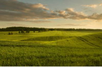 Fração Ideal 16,66% de Imóvel Rural - Piacatuba/MG