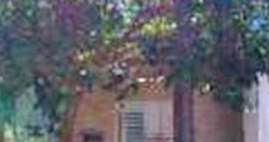 Casa no Jardim Casa Grande - Ocupado