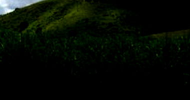 Engenho Pirajá com Área de 13 Ha em Água Preta/PE