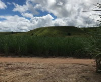 Engenho Pirajá com Área de 13 Ha em Água Preta/PE