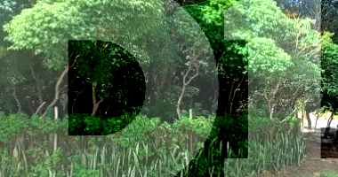 Terreno de 313m² em São Carlos/SP