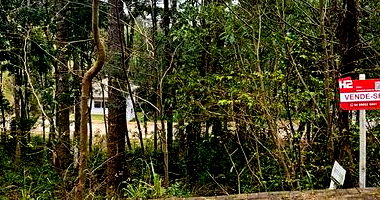 Terreno em Nova Petrópolis com 378m²